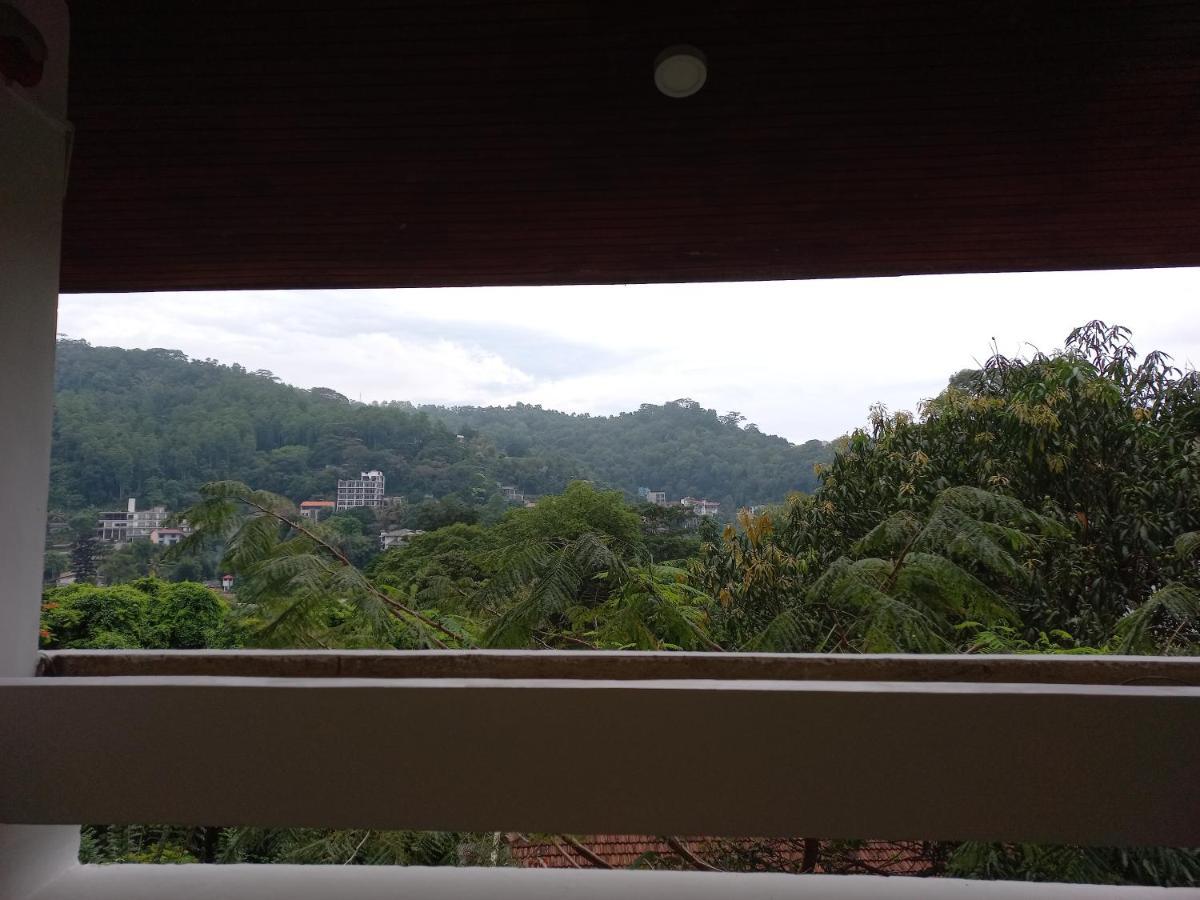 Lazy Bear Best Hostel In Kandy Exterior photo