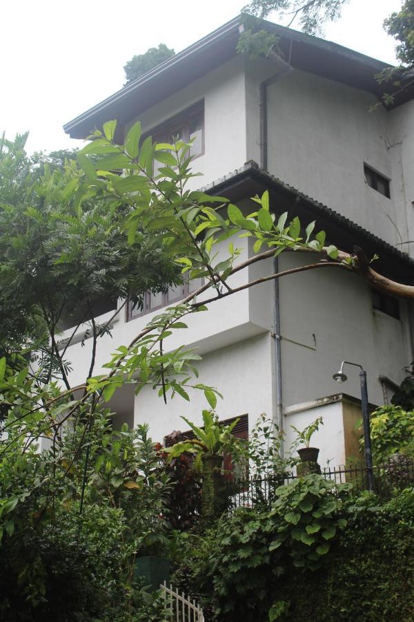 Lazy Bear Best Hostel In Kandy Exterior photo
