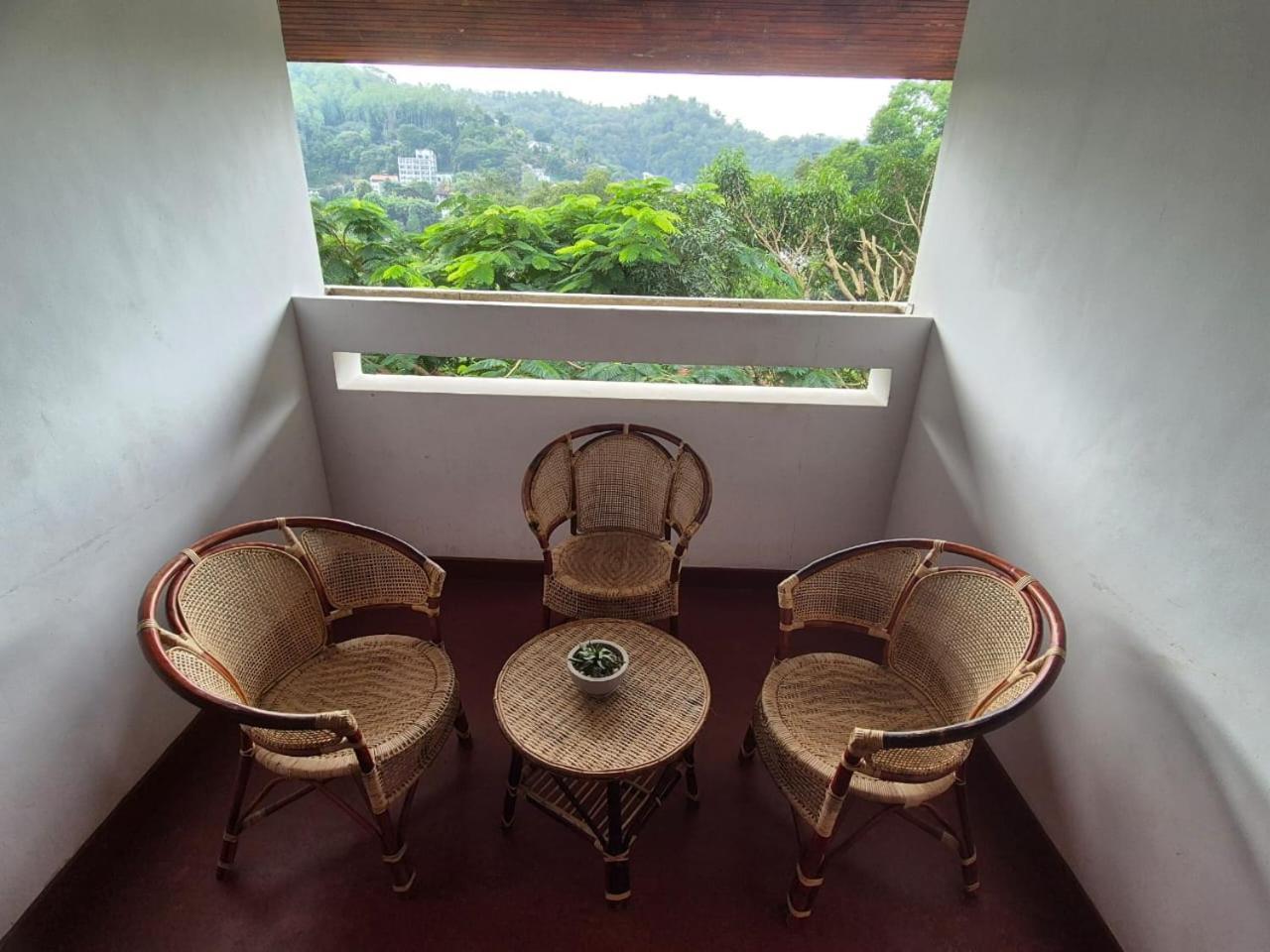 Lazy Bear Best Hostel In Kandy Exterior photo